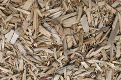 biomass boilers Ardarragh